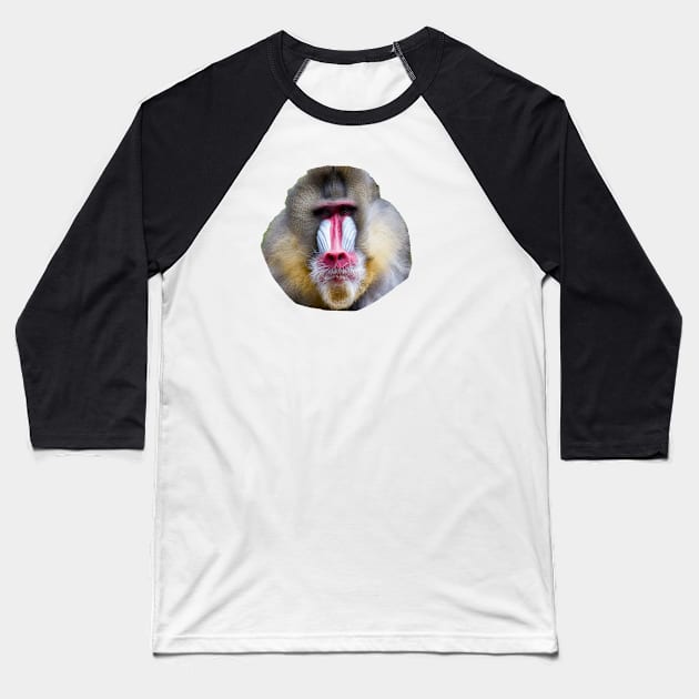 Baboon Baseball T-Shirt by redneckpoet